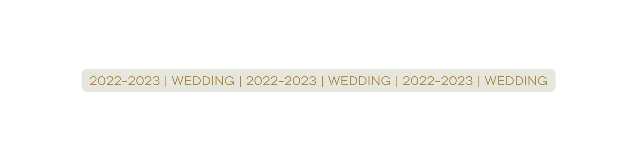 2022 2023 Wedding 2022 2023 Wedding 2022 2023 Wedding